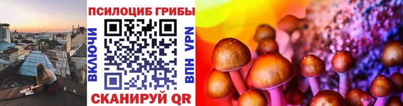 ОМГ ОМГ ССЫЛКА  Михайлов  Галлюциногенные грибы Magic Shrooms 