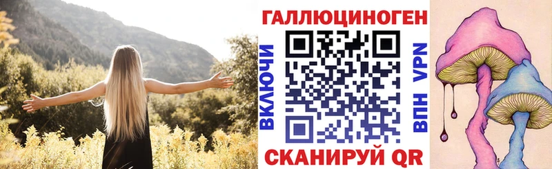 Галлюциногенные грибы Psilocybine cubensis Михайлов